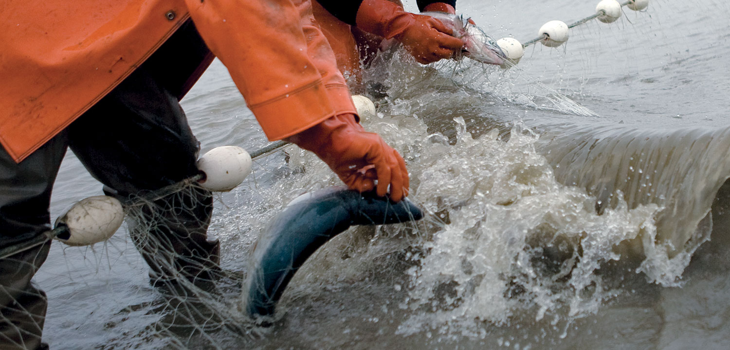 Bristol Bay fishing