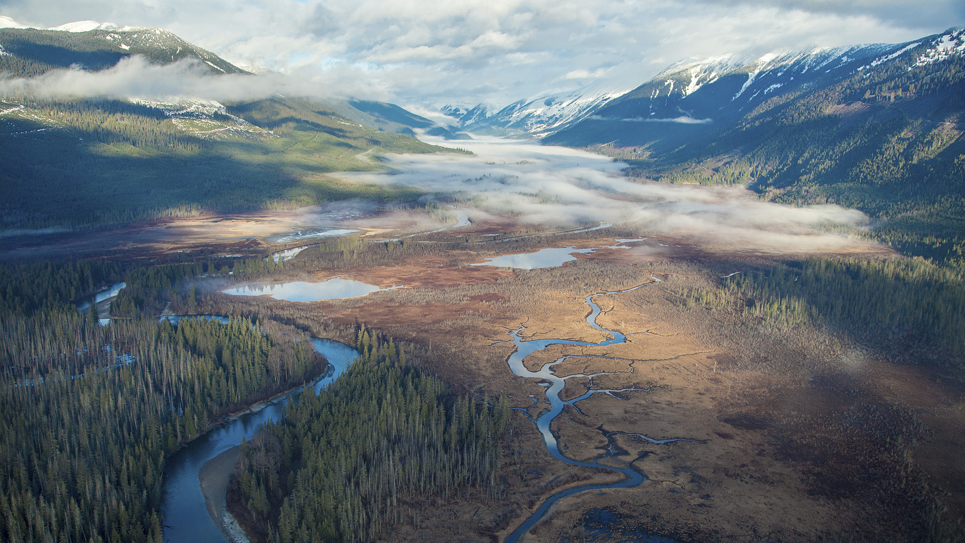 SkeenaWild