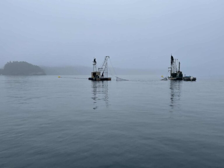 Lummi Island Reef Netting: Eat This Salmon