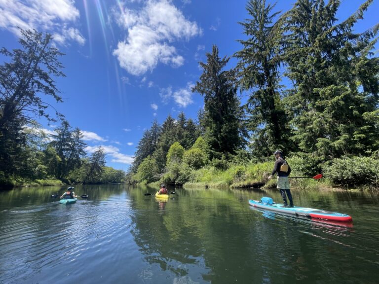 Bringing Back the Sitka Spruce Swamp