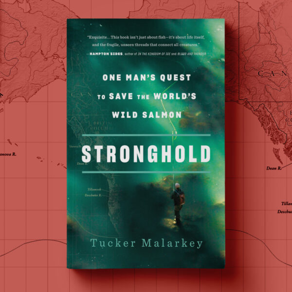 Stronghold - paperback