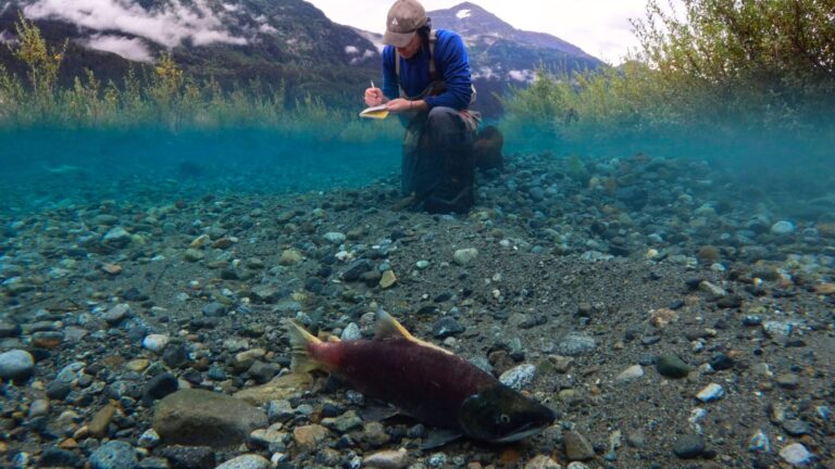 Salmon Futures: A Conversation with Dr. Jonathan Moore