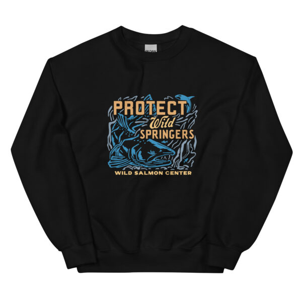 Unisex Sweatshirt (more colors)